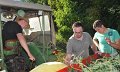 Binden am Donnerstag 015